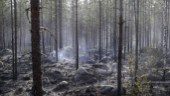 Skogsbranden i Ljusdal under kontroll