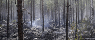 SMHI: "Extremt stor risk" för skogsbrand