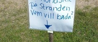 Det "ligger en hund begraven": Vem bajsar på stranden?