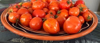 Läsarbilden: Dags att göra tomatsås