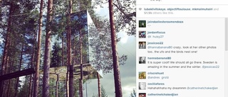 Supermodell plåtades för Vogue på Treehotel