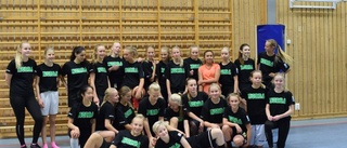 Resan mot Miki Herkel Cup har startat