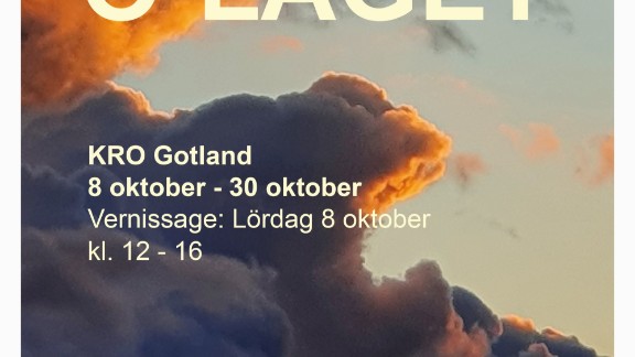 Ö-läget  - KRO Gotlands konstnärer ställer ut i konstmuseet