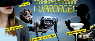 Svenskarna siar om AI, robotar och chip