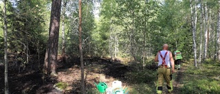 Mindre skogsbrand nära Enköping: "Tio gånger trettio meter stor"