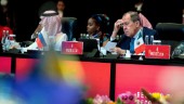Pressad Lavrov stormade ut ur G20-mötet