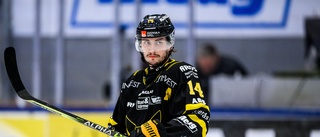 Clemensnäs HC:s galna värvningsbomb – hämtar in ordinarie spelare från Hockeyallsvenskan