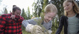 100 elever planterade träd