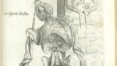 Liktjuven och anatomen Andreas Vesalius