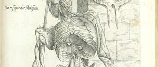 Liktjuven och anatomen Andreas Vesalius
