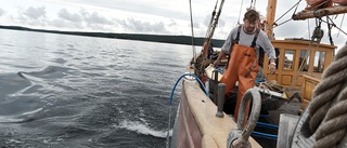 Ett skepp kommer lastat – med forskare • Kartlägger föroreningarna längs Skelleftekusten: ”En prestation man ser resultatet av”