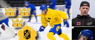 JVM-truppen uttagen – en spelare från Skellefteå AIK finns med • NHL-stjärnorna saknas