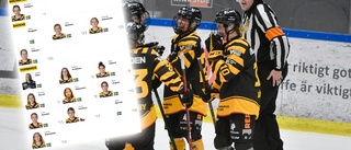 Vunnit SM-guld – nu stannar forwarden i Skellefteå AIK • Se hela truppen här