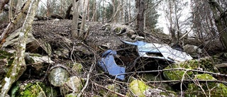 Dumpade bilar funna i skog