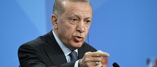 Linde kommenterar inte Erdogans uppgifter