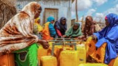 Varnar för svältkatastrof i Somalia