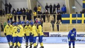 Storseger för Sverige i bandy-VM