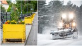 Snöovädret kostar miljoner – blir mindre pengar till blommor 