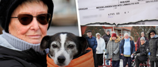 Heidi fick över 15 000 i räkningar – när hunden blev sjuk och elen skulle betalas • Grannarna fick betala 6 000 för elen