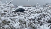 Rejält snötäcke över Gotland • Så länge blir det vita kvar
