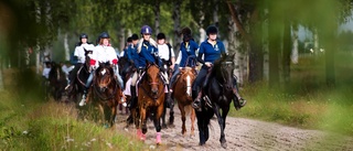 Ordförande hoppade av Bodens ridklubb