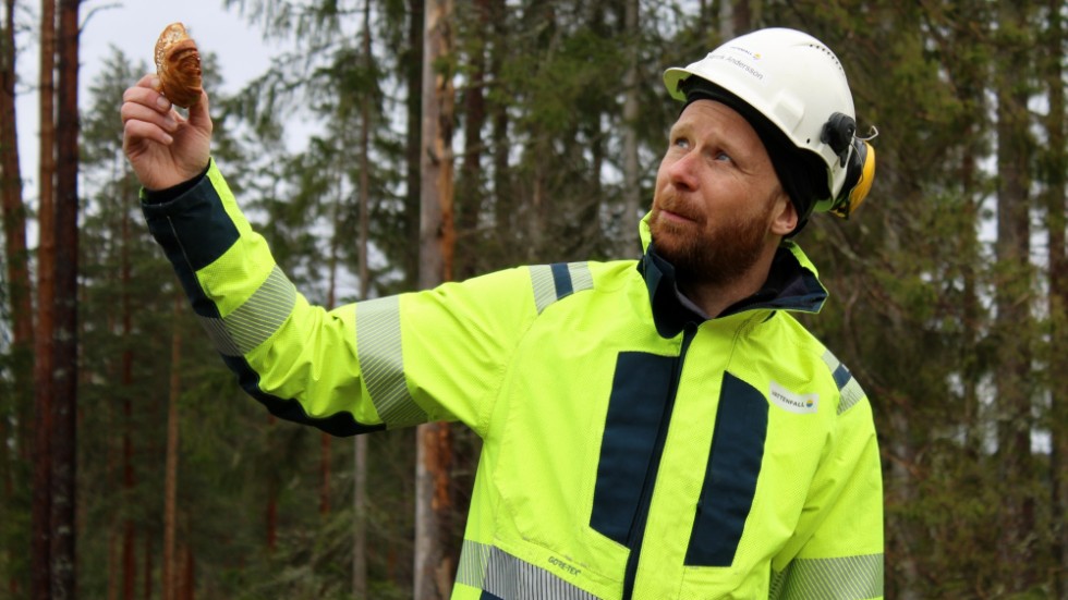 Henrik Andersson, projektledare från Vattenfall Services, som är huvudentrepenör för bygget av kraftledningen. 