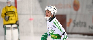 Guldspelaren öppnar för Kalix Bandy