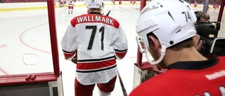 AHL-kollen: Wallmark stor hjälte för Charlotte