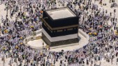 Saudiarabien öppnar för pilgrimer