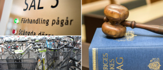 Flera personer åtalade: ✓ Använde stulen cykel ✓ 15-åring stal för 39 kronor ✓ Flera fall av narkotikabrott