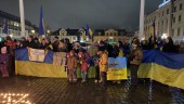 Helgens demonstration för Ukraina – "Ekomord"