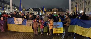 Helgens demonstration för Ukraina – "Ekomord"