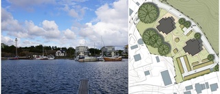 Kritik mot bostadsplan i city: "Skymmer havsutsikten"