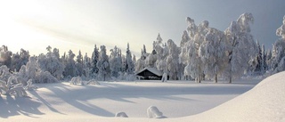 Här finns det mest snö i Norrbotten