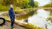 Unik vattenpark grävs fram vid Ekolsunds slott: "Ger en annan upplevelse av slottsparken"