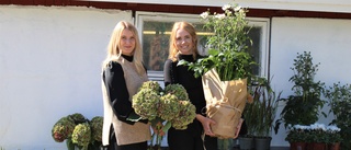 Lovisa fortsätter satsningen på Blomsterträdgården Nyshult • Nyanställer florist • Öppnar blomstudio
