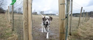Ny hundrastgård – bara om hundägarna organiserar sig