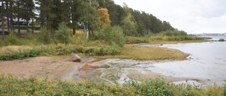Vassen hotar ta över populär badstrand i Luleå