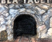 <I>En ny bok:</I>
Att våga åka in i tunneln