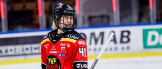 Luleå Hockey/MSSK tog femte raka – så var matchen mot AIK minut för minut