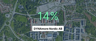 Rejäl utdelning till ägarna för DYNAmore Nordic AB
