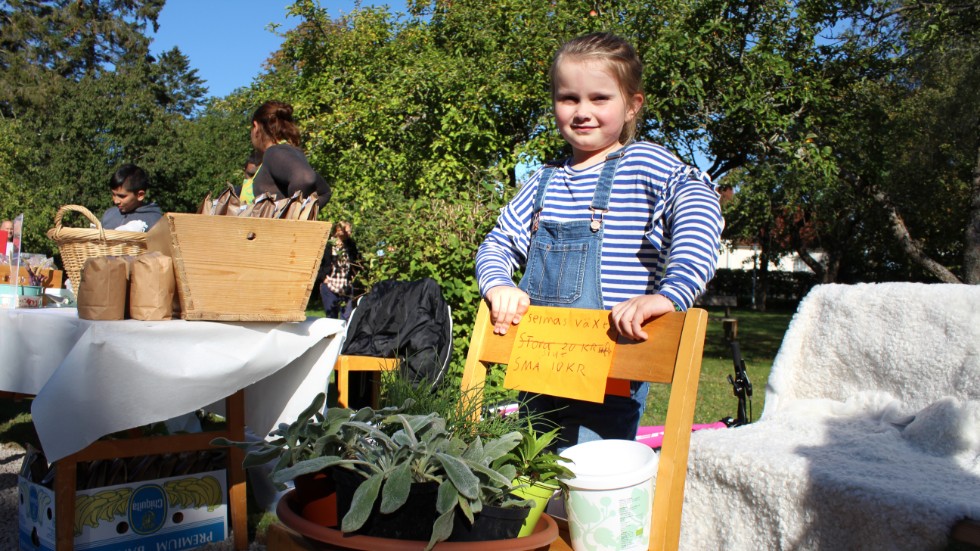 Selma Johansson, 8 år, säljer växter mellan Margareta Ljungas lammskinn och den bulgariska familjens knäckebröd.