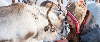 Samarbete lyfter samiska projekt