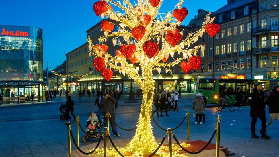 Kärlekens träd brukar lysa upp Stora Torget i Uppsala juletid. 