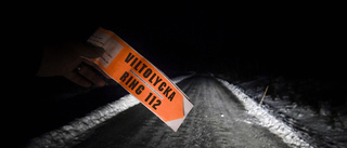 Fem viltolyckor rapporteras i Norrbotten under kvällen