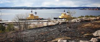 Terrängbrand på Svartöberget – "Det var en sådan förödelse"