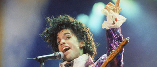 Princes dödsbo samlar in pengar med konsert