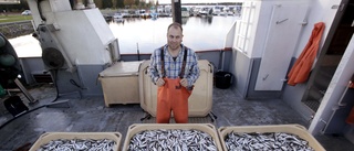 Framtidstro bland yrkesfiskarna – fler unga vågar satsa • Länsstyrelsen: "Det ser bra ut"