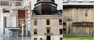 Uppsalas museer laddar för digital helkväll