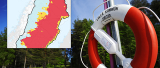 Väder: Sommar i Norrbotten i dag – men stor risk för gräsbränder